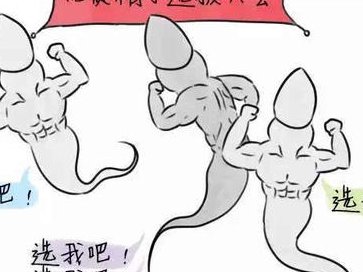 合肥哪家医院三代试管助孕费用高多少钱？