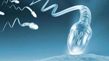 辽宁试管婴儿费用贵吗？辽宁哪些医院可以做试管？