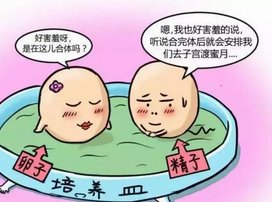 试管自然周期简介，试管自然周期主要包括这些步骤