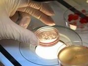 长春2026试管助孕机构目录公开，附试管助孕最新收费一览