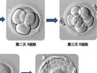 2026河北省定州市妇幼保健院试管价格贵不贵？